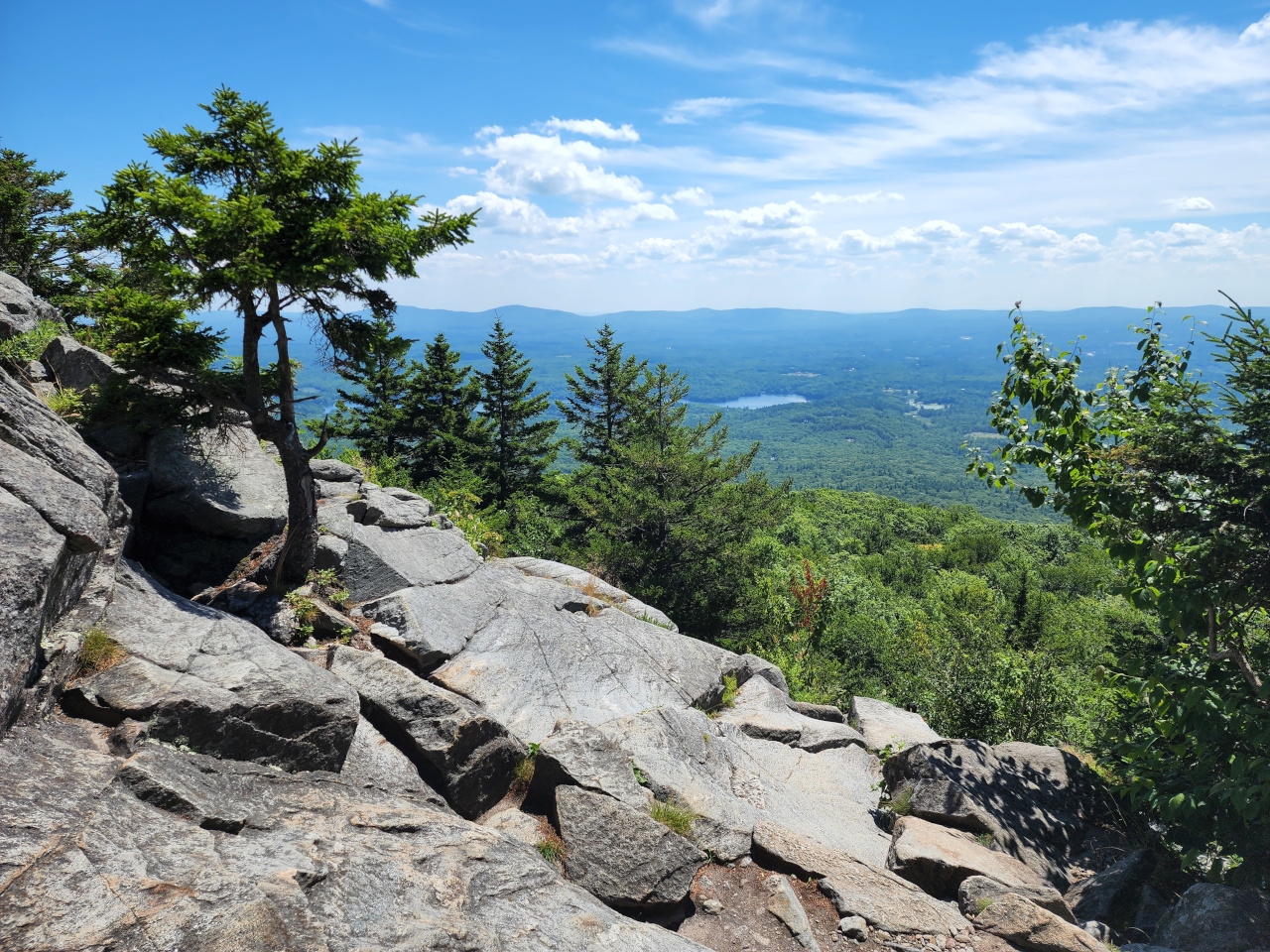 Above the treeline