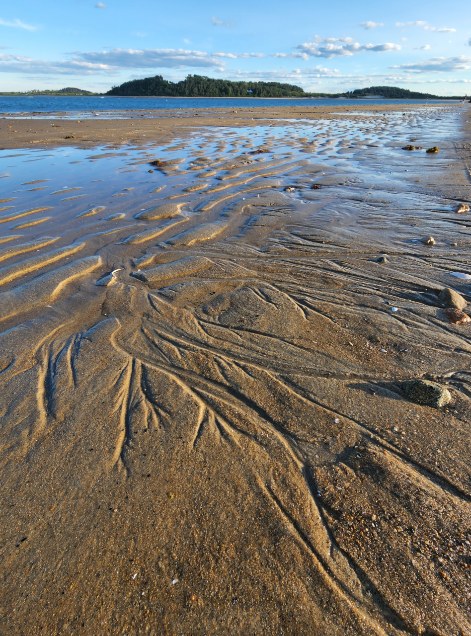 Plum Island beach