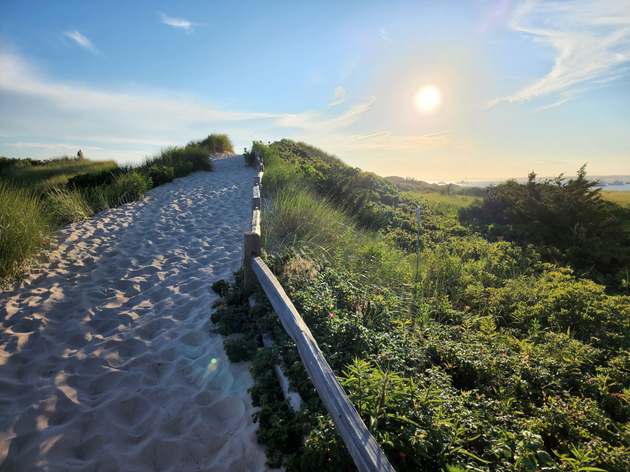 Napatree dune