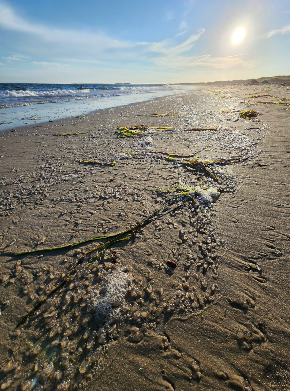 Napatree beach