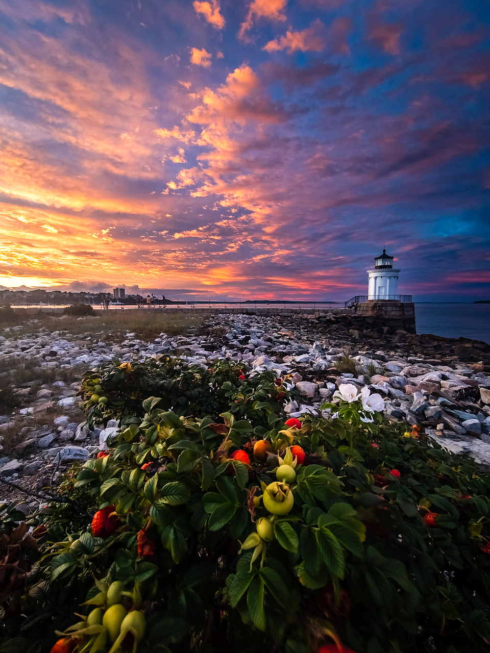 Bug Light sunset