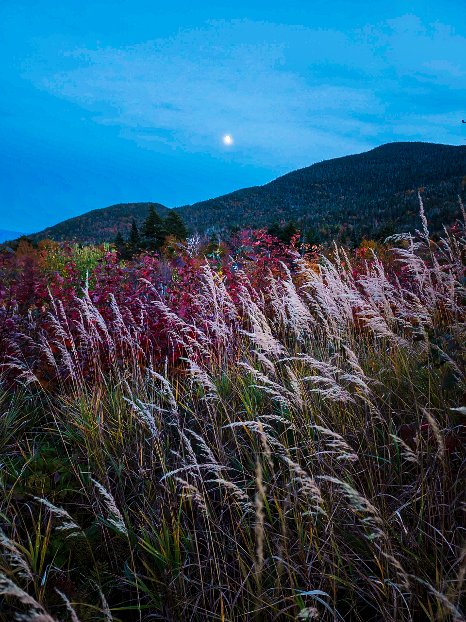 Moonrise