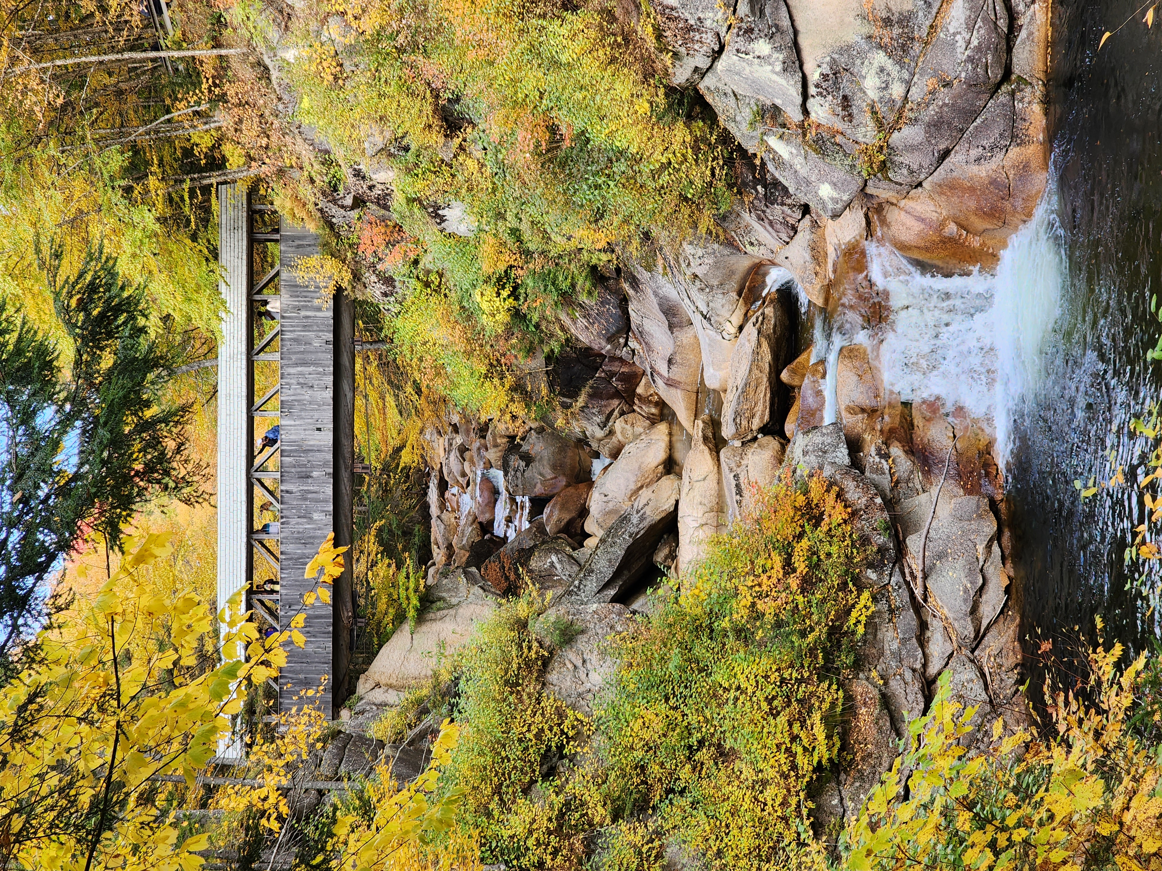 Sentinel Pine Covered Bridge