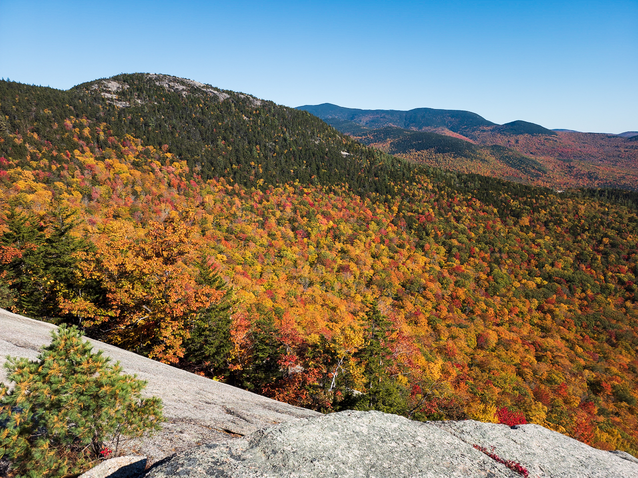 Mountain foliage